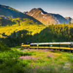 Confidential Practice represented by OjO Recruitment Agency