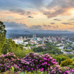 Confidential Practice represented by OjO Recruitment Agency