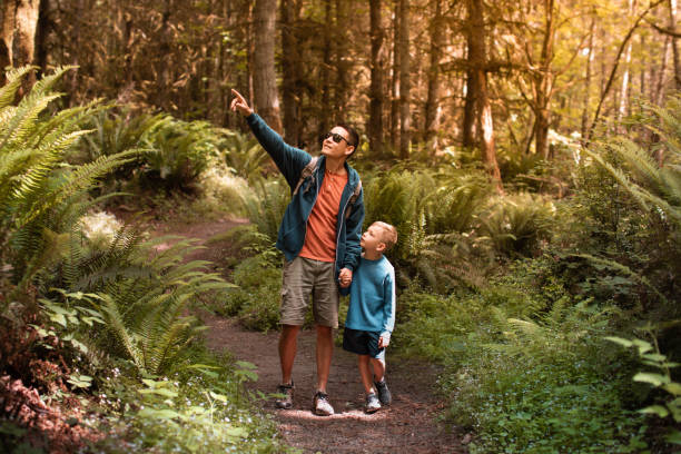 Hiking Appalachian Trail NC 2