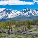 Confidential Practice represented by OjO Recruitment Agency