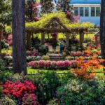 Confidential Practice represented by OjO Recruitment Agency