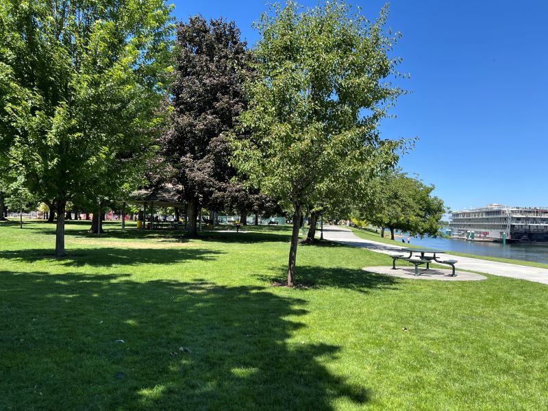 Washington State Practice for Sale