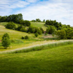 Confidential Practice represented by OjO Recruitment Agency