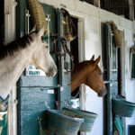 Confidential Practice represented by OjO Recruitment Agency