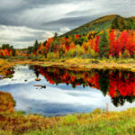 Confidential Practice represented by OjO Recruitment Agency