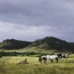 Confidential Practice represented by OjO Recruitment Agency