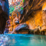 Confidential Practice ( represented by OjO Recruitment Agency )