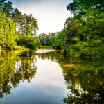 Confidential practice represented by OjO Recruitment Agency